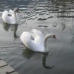 Διαμέρισμα Seehaus Karantanien Am Ossiacher Ossiach