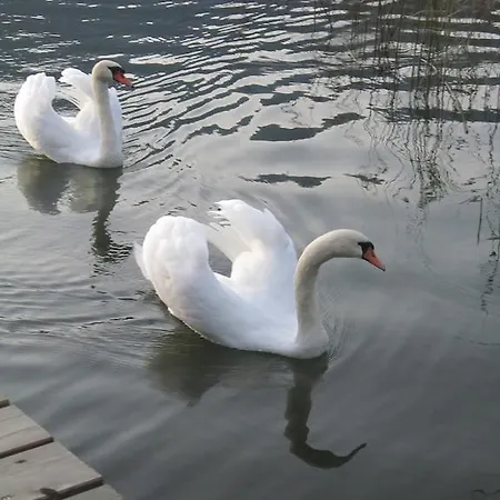 Appartamento Seehaus Karantanien Am Ossiacher Ossiach